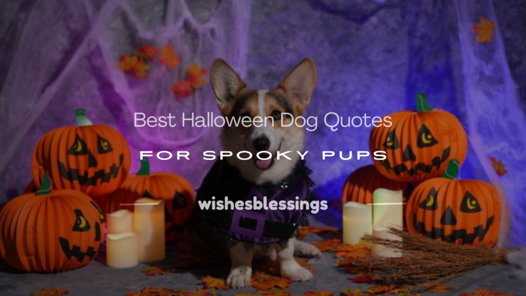 halloween dog quotes